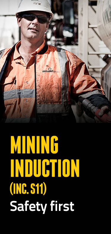 Standard 11 mining induction course